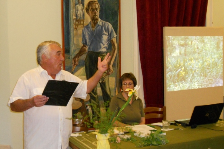 Dombóvári Herbárium 2012.06.01.