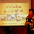 Pusztai Mozaikok