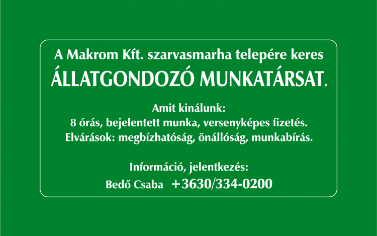 A Makrom Kft. szarvasmarha telepére keres állatgondozó munkatársat