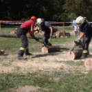 Felbőgtek a motoros fűrészek Ropolypusztán 